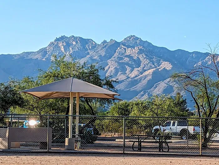 Udall Dog Park 10