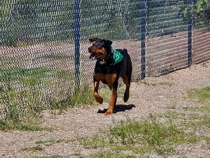 Northwest Community Dog Park 2