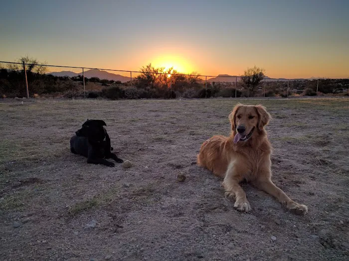 Northwest Community Dog Park 10