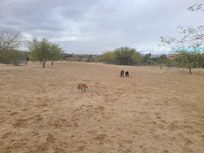 Northwest Community Dog Park 6