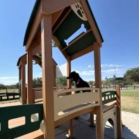 Wagging Tails Dog Park ico