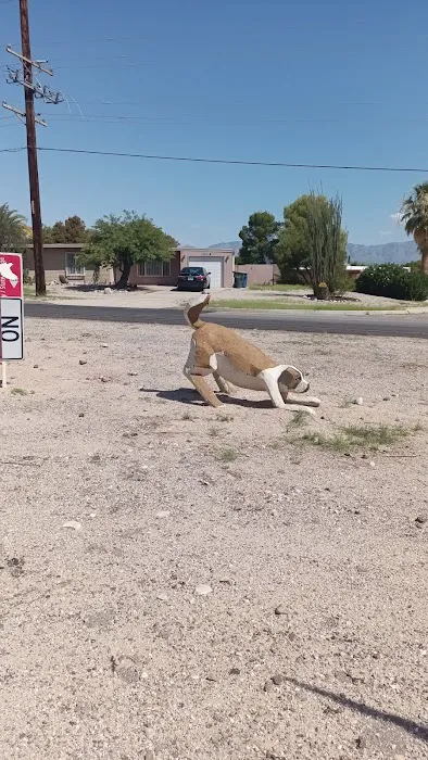 Wagging Tails Dog Park 4