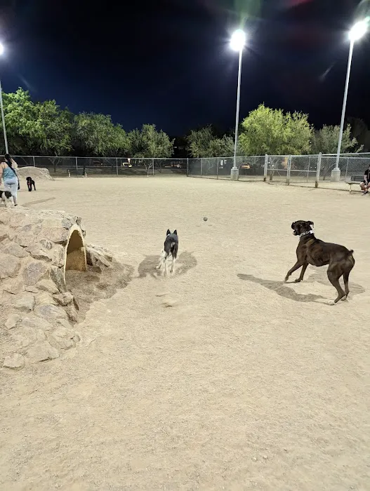 Crossroads at Silverbell District Park - Dog Park 3