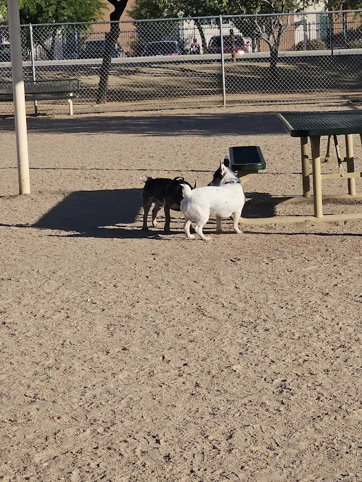 Crossroads at Silverbell District Park - Dog Park 2