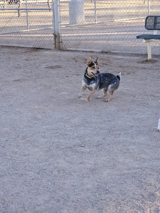Crossroads at Silverbell District Park - Dog Park 1