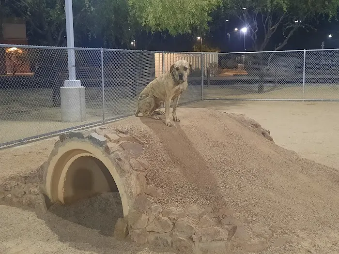 Crossroads at Silverbell District Park - Dog Park 9