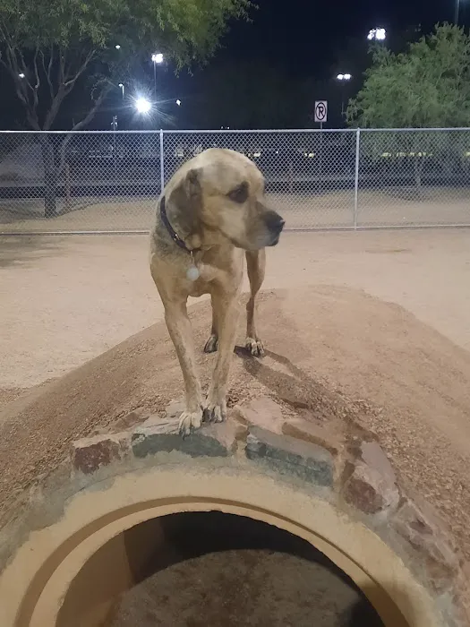 Crossroads at Silverbell District Park - Dog Park 7