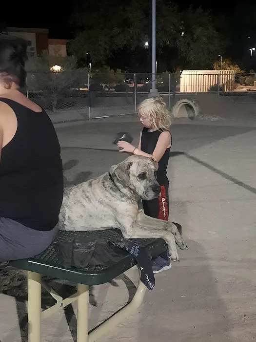 Crossroads at Silverbell District Park - Dog Park 8