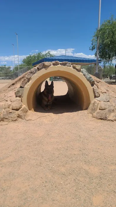 Crossroads at Silverbell District Park - Dog Park 6