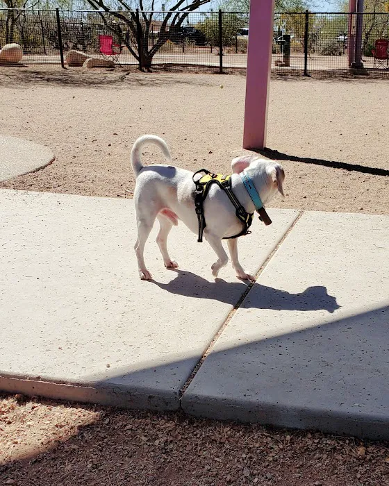 Ivan's Spot Dog Park 10