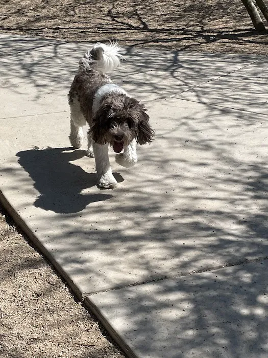Ivan's Spot Dog Park 7
