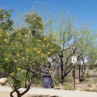 Ivan's Spot Dog Park ico