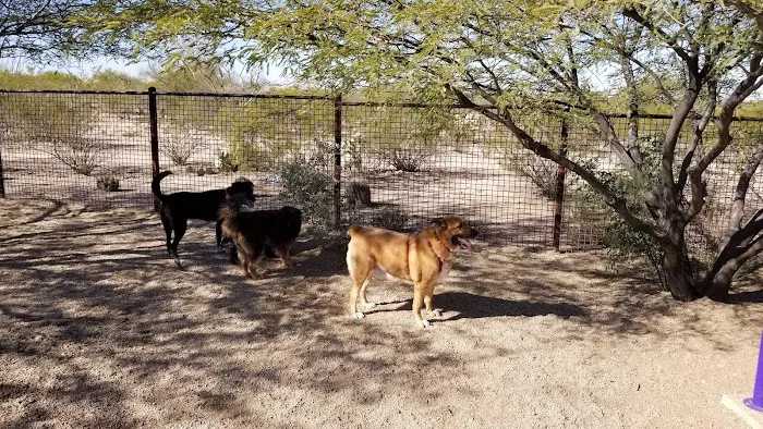 Ivan's Spot Dog Park 8