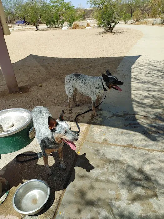 Ivan's Spot Dog Park 5