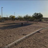 Tangerine Sky Community - Dog Park ico