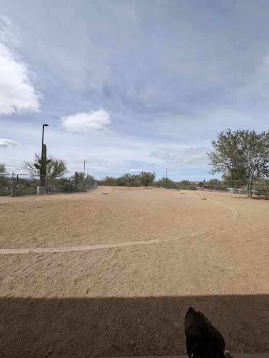 Tangerine Sky Community - Dog Park 8