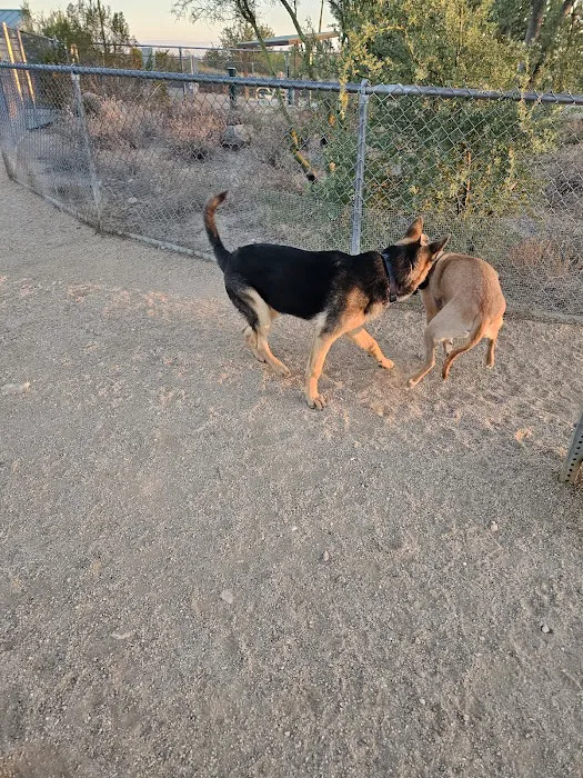 Tangerine Sky Community - Dog Park 10