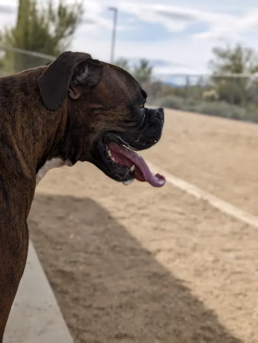Tangerine Sky Community - Dog Park 2