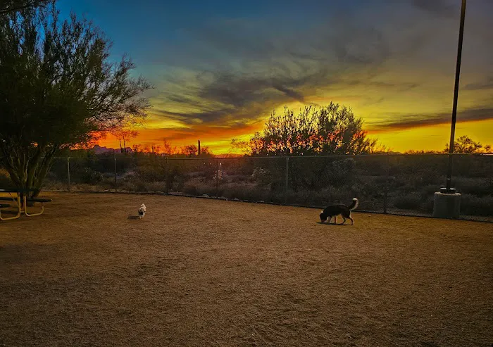 Tangerine Sky Community - Dog Park 9