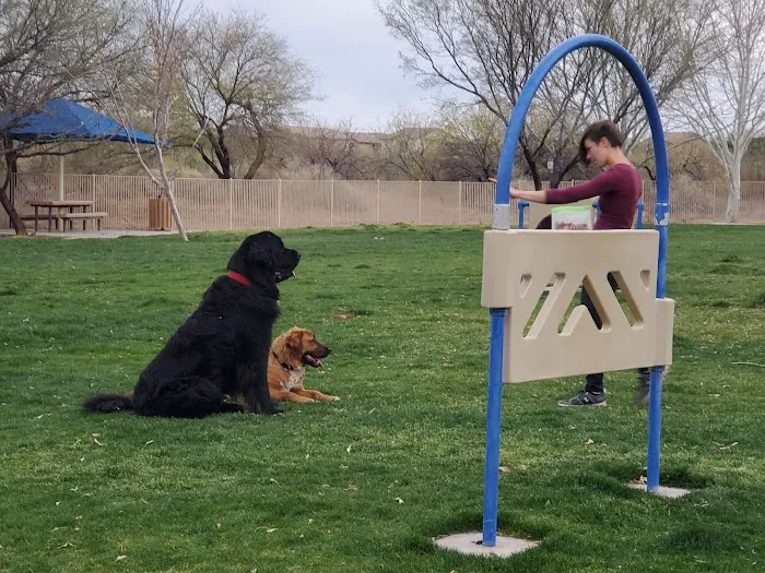 Bark Park 1