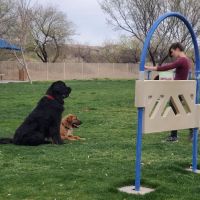 Bark Park ico