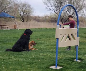 Bark Park