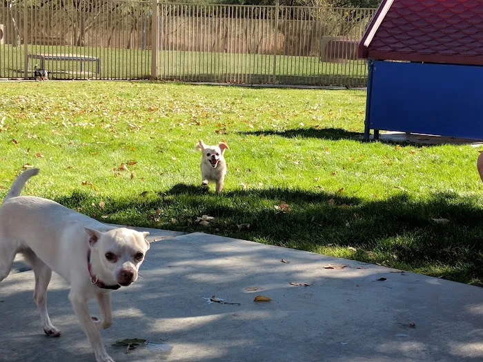 Bark Park 4