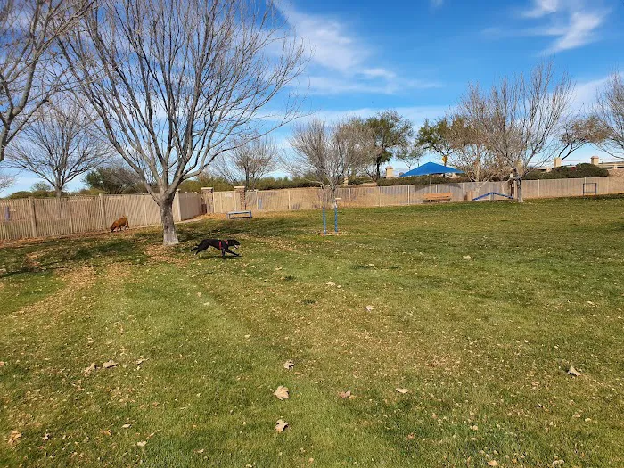 Bark Park 8