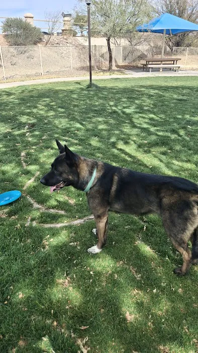 Bark Park 5
