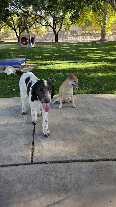 Bark Park 7