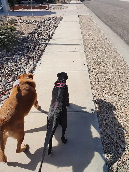 Bark Park 6