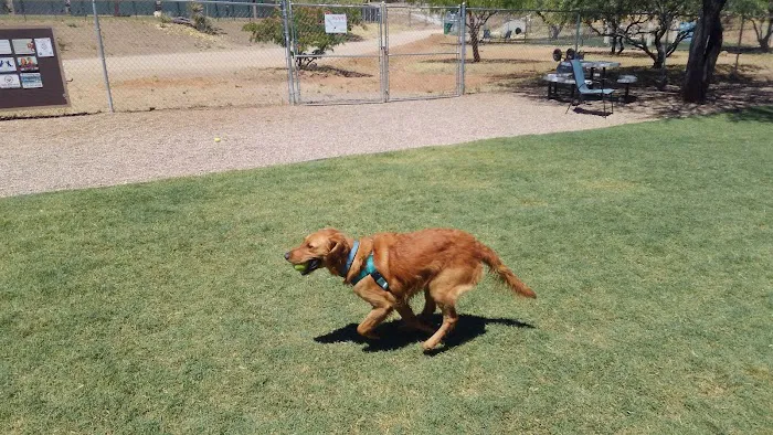 SaddleBrooke Dog Park - Private Community Park 6