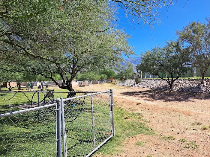 SaddleBrooke Dog Park - Private Community Park 5
