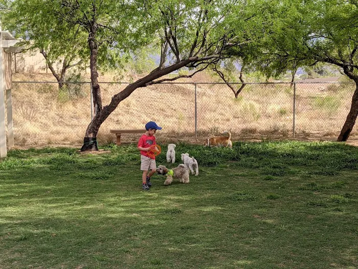 SaddleBrooke Dog Park - Private Community Park 3