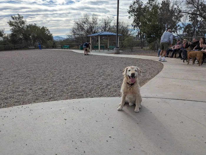 Anamax Dog Park 1