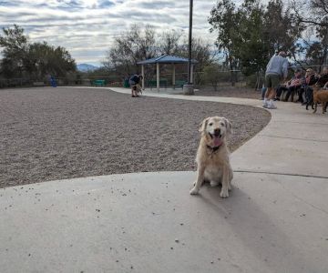 Anamax Dog Park