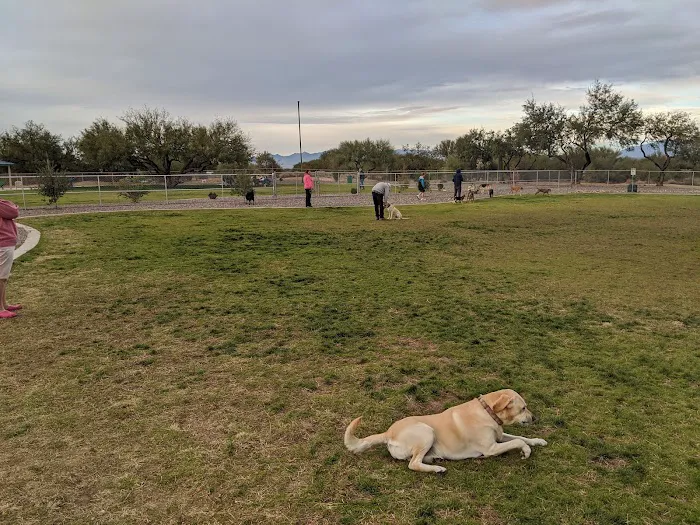 Anamax Dog Park 4
