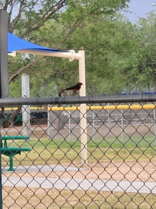 Anamax Dog Park 8