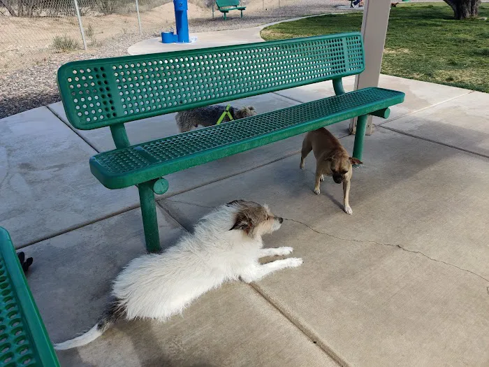 Anamax Dog Park 7