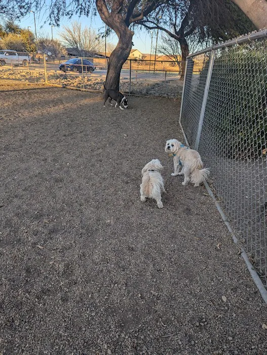 San Lucas Community Park - Dog Park 3