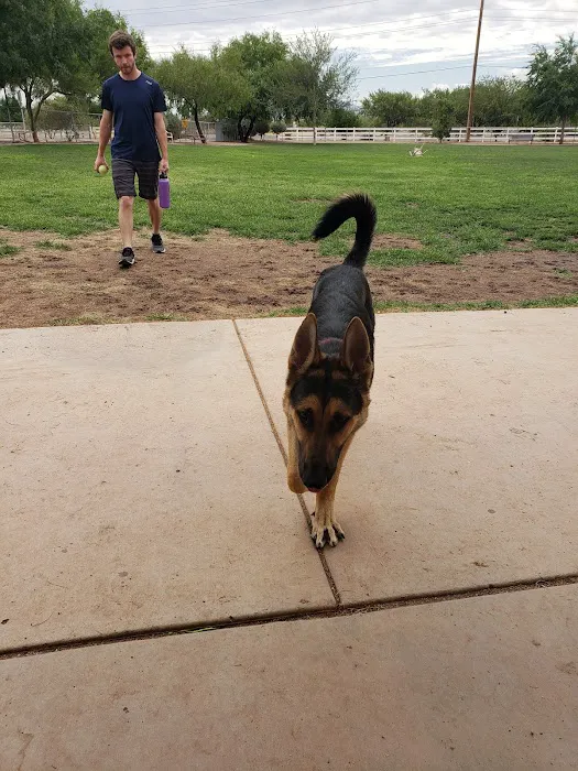 Quail Creek Dog Park 10