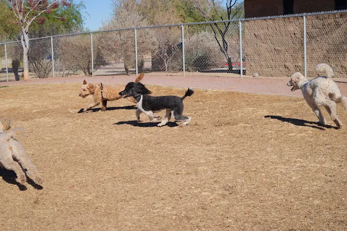 Quail Creek Dog Park 5