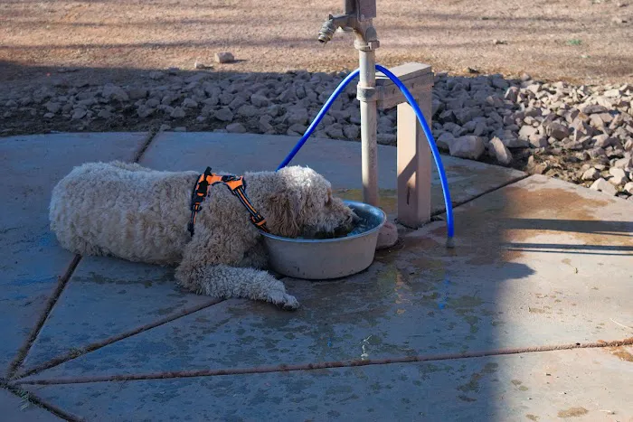 Quail Creek Dog Park 3