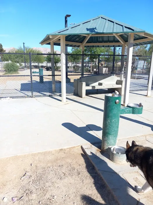 Dog Park 7