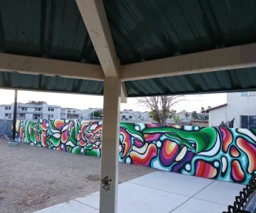 Dog Park