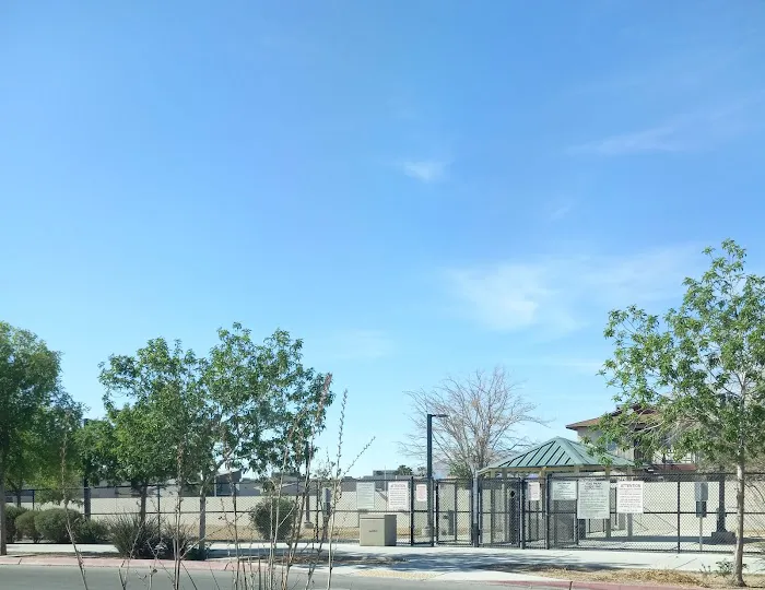 Dog Park 4