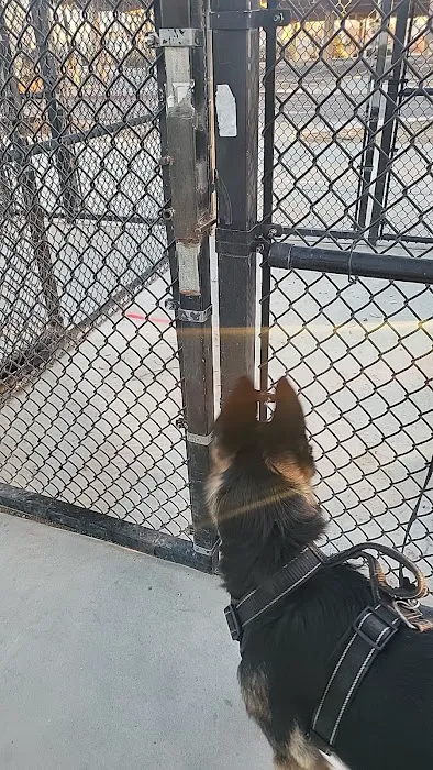 Dog Park 9