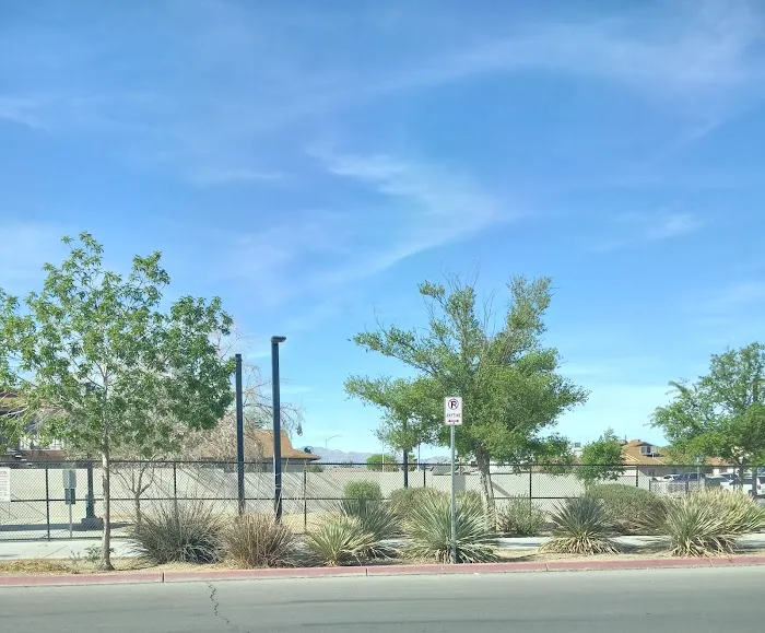 Dog Park 5