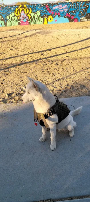 Dog Park 2