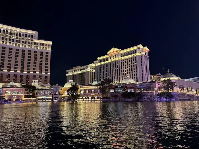 Vdara Dog Park 6